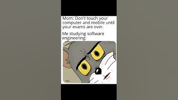 #engineering #computer #coding #code #software #memes #memesvideo #funnymemes #technology #fyp #fypシ