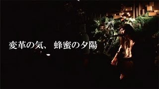 Video thumbnail of "植田真梨恵 LIVE 「変革の気、蜂蜜の夕陽」"