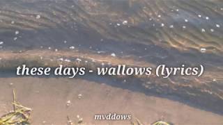 these days - wallows (lyrics)
