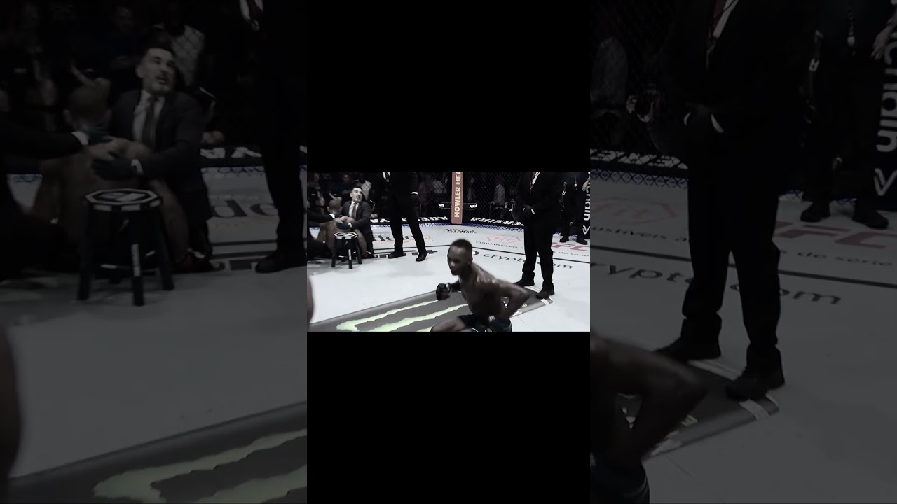 Knockouts MMA short 