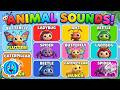 The Animal Sounds Song! | Ladybug, Ant, Beetle, &amp; More | Simple EduFam Learning