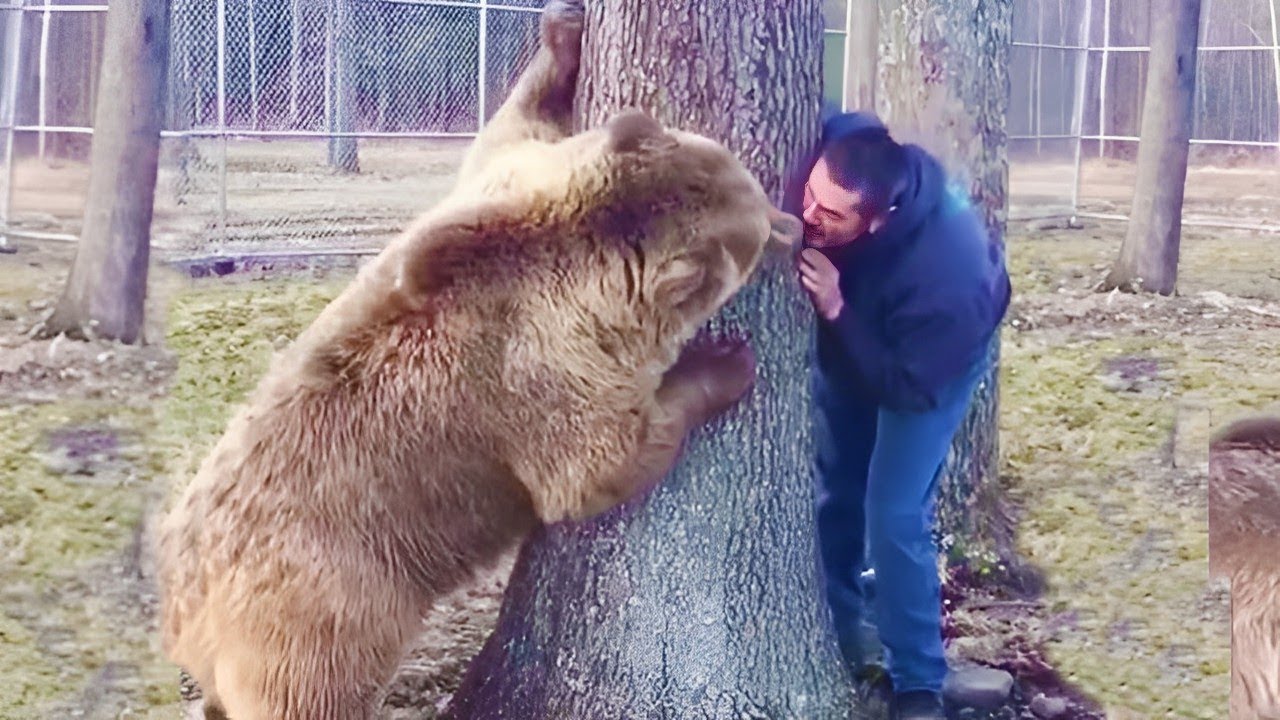 Most Heartwarming Animal Reunions with Humans - YouTube