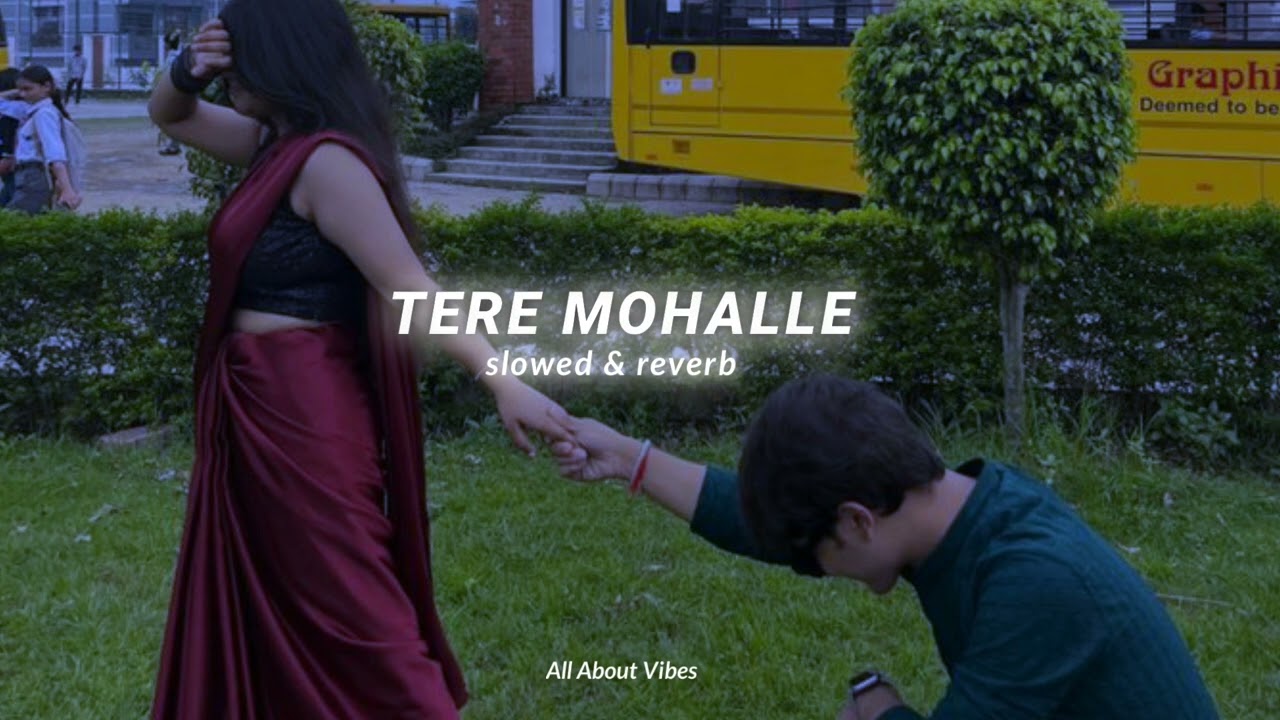 TERE MOHALLE || BESHARAM || Slowed & reverb || All About Vibes