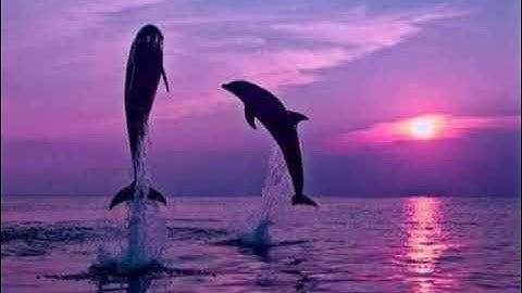 #قراءة للشيخ إبراهيم الاخضر من #سورة البقرة الايات (203-232)