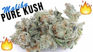 STRAIN REVIEW: '91 EPIC MALIBU PURE KUSH