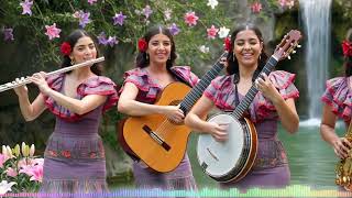 Magical Sunset Instrumental Mediterranean Accordion & Guitar Fusion