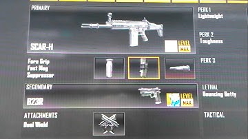 Best class setup- SCAR-H