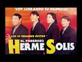EL PODEROSO HERME SOLIS - Voy llorando tu desprecio (álbum completo) (año 2000)