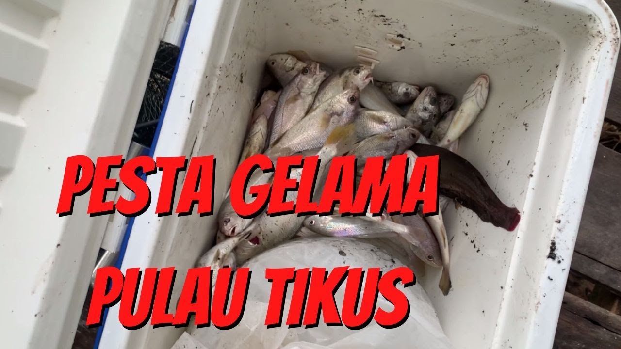 Pulau Tikus, Batu Pahat Joran Pantai Malysia PESTA GELAMA