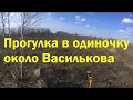 Коп около Василькова