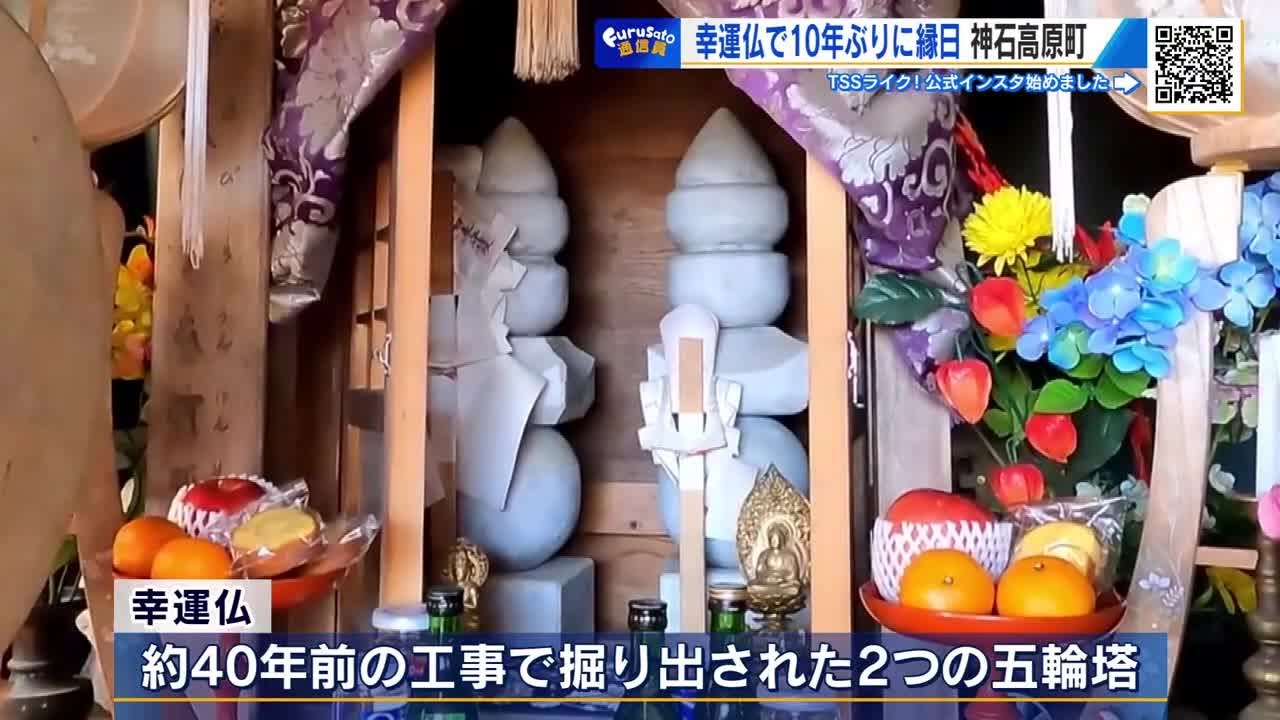 奥様ご用心('57仏) 【公式通販】