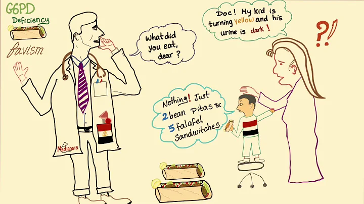 G6PD Deficiency & the Falafel story (favism) - Biochemistry- Hematology