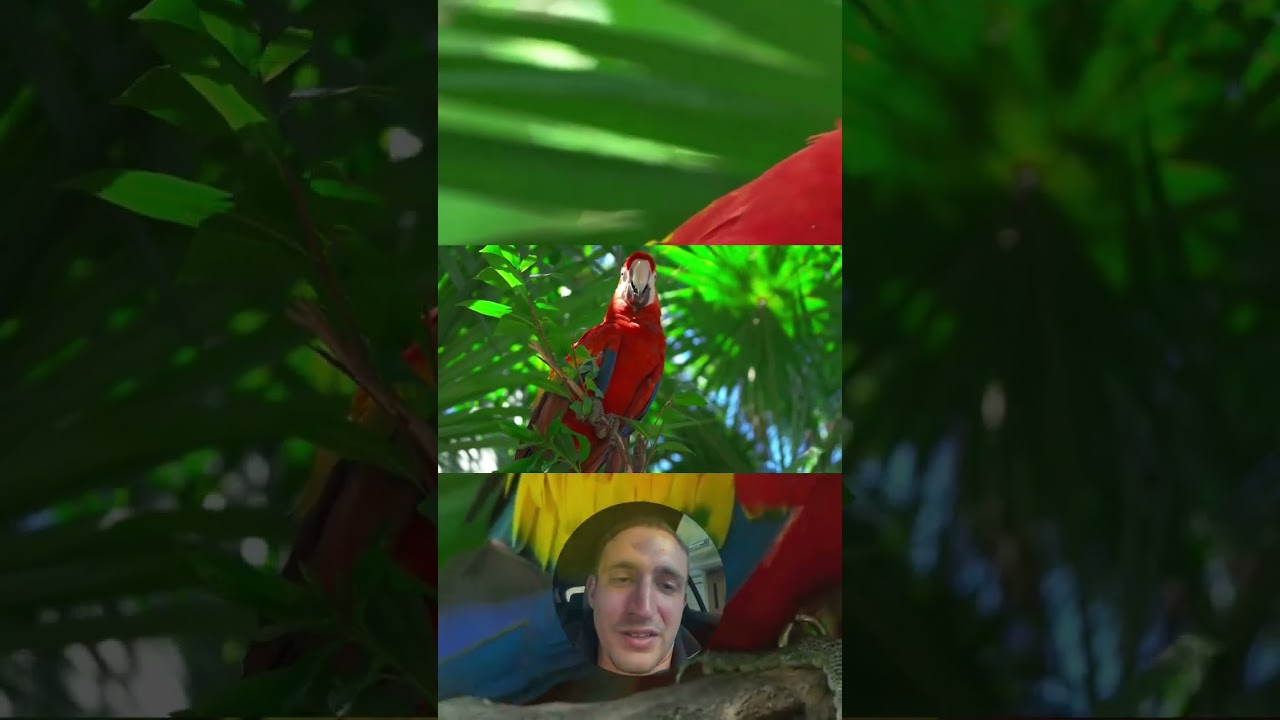 Мы объединились для вас! 