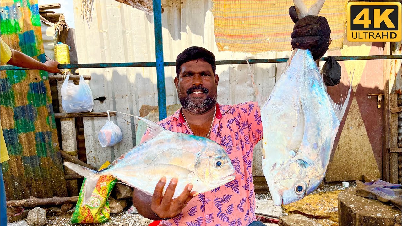 Kannada Paarai/Vavval fish cutting video/Fishcuttingrs fishcuttingrs 