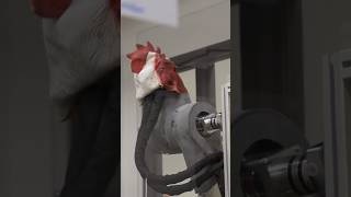 Ask A Roboticist | Meet Diane | Boston Dynamics #robot #bostondynamics #robotics News