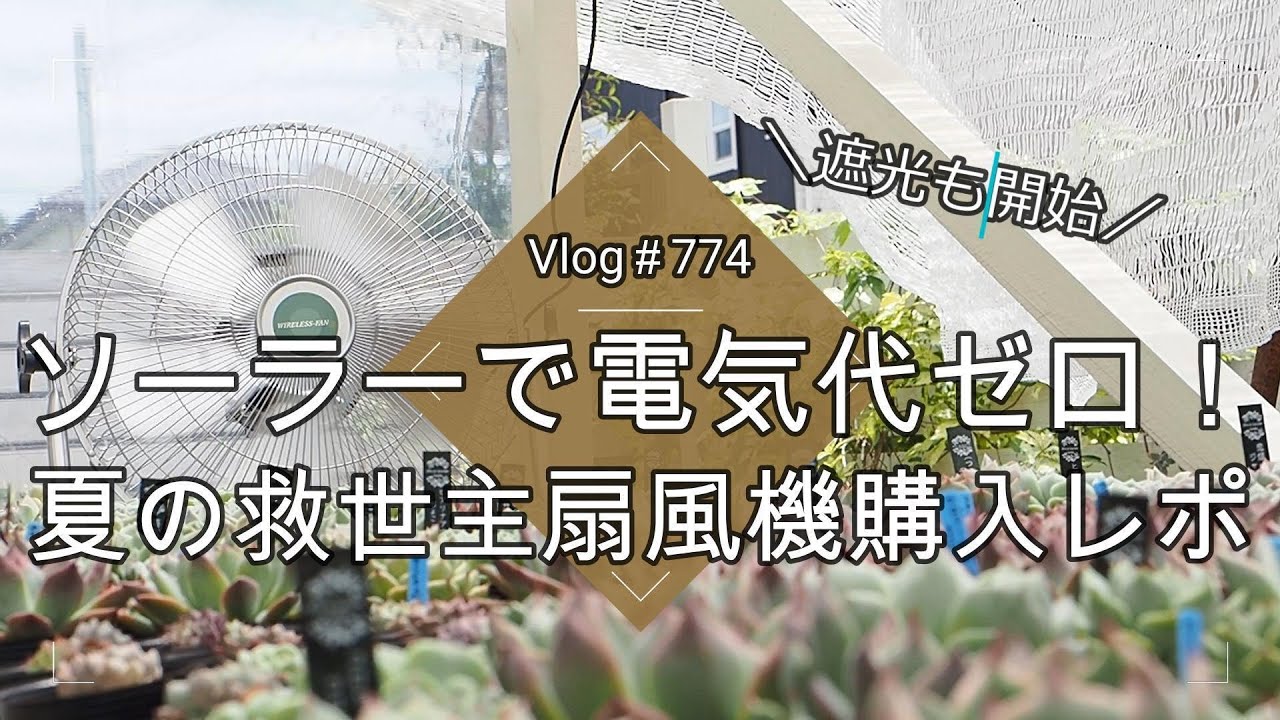 【Vlog774】【多肉植物】ソーラーで電気代ゼロ！夏の救世主扇風機購入レポ【naturさんの多肉植物専用遮光シート】