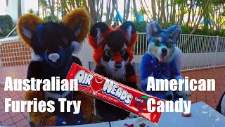Australian Furries Try American Candy