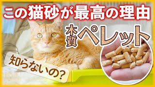 圧倒的に安い猫砂！木質ペレットが凄すぎておすすめな理由と使い方を解説！