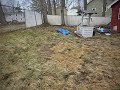 Spring clean up