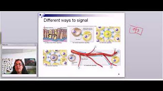 Chapter 9 Cell Communication - YouTube