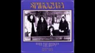 Watch Spirogyra Where Theres A Will Theres A Way video