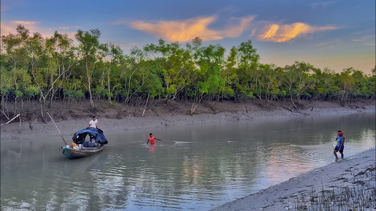 দিনরাত এক করে অক্লান্ত পরিশ্রমের পর,প্রচুর পরিমাণে চিংড়ি মাছ ধরলাম!!!