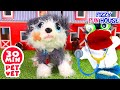 Fizzy The Pet Vet Takes Care Of His Animal Friends ❤️ | Fun Compilation For Kids