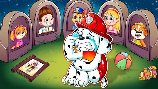 R.I.P All Paw Patrol - What Happened?- Very Sad Story - Paw Patrol Ultimate Rescue - Rainbow 3