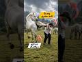🤣 குண்டு மாமி 2 ஆயிட்டாங்க 😂💥 | Comments section #funny #comedy
