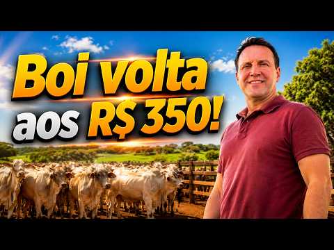 Mercado do boi volta a se aproximar dos R$ 350 no fim de maio
