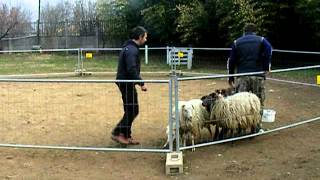 DSCF8571.AVI