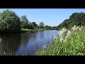 Forest River Nature Sounds-Relaxing Birds Chirping Spring Morning Ambience-Water Sound for Sleeping