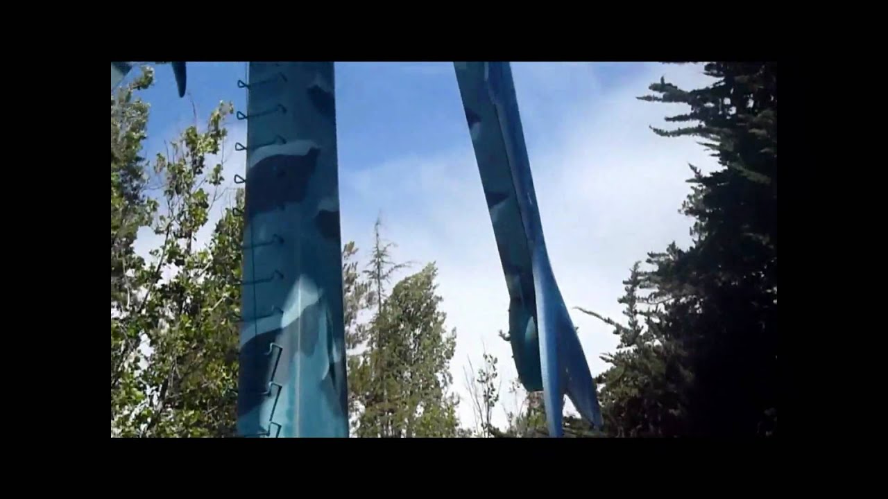 Hammerhead Shark Six Flags Discovery Kingdom YouTube