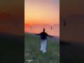 #viralvideo #viralshorts #viralsong #song #mom #dad #everything