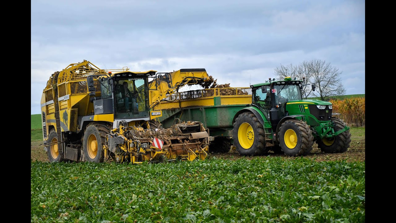 Goffaux travaux agricole a la récolte des betteraves avec une Ropa panther 2