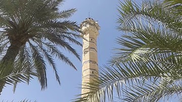 سورة الأعراف بصوت القارئ الشهيد عامر عبدالغفور العلوي رحمه الله من مدينة الفلوجة