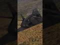 An interesting design, this is the F-117 'Nighthawk'. #warthunder