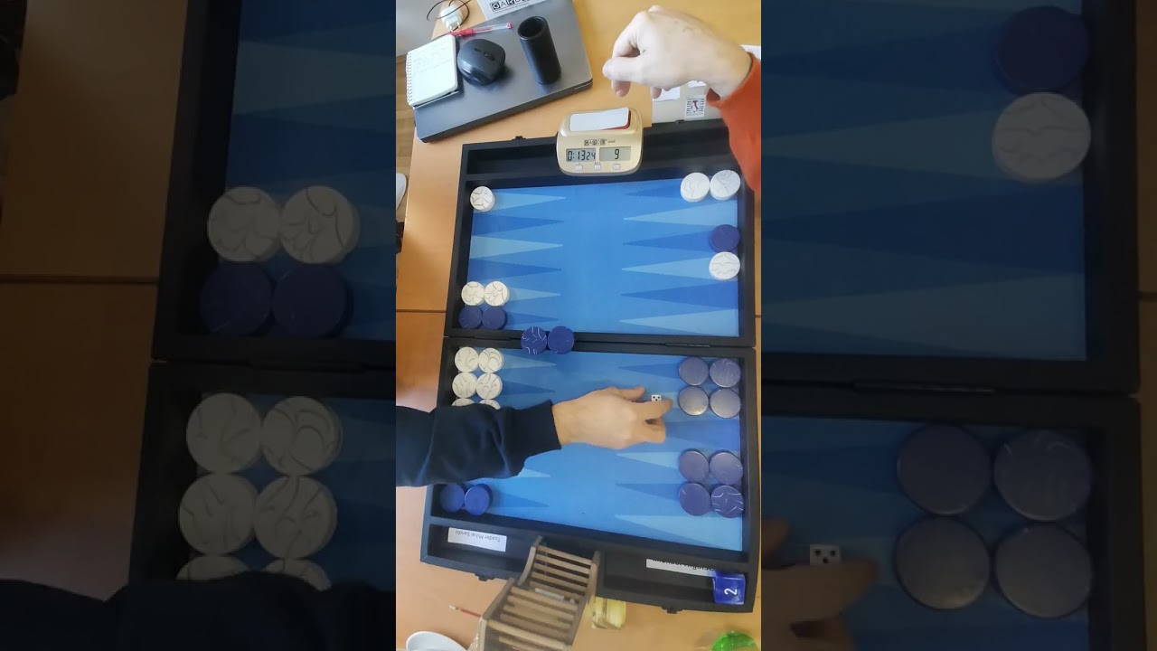 R9 Mihai S.-Michael Higatsberger