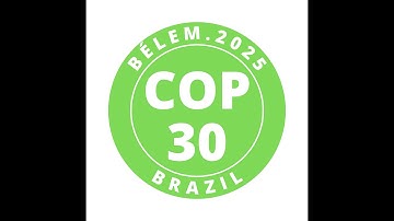 COP30: RMetS President, Professor Brian Golding