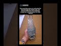 Why This Sparkling Water Looks Like It’s Boiling