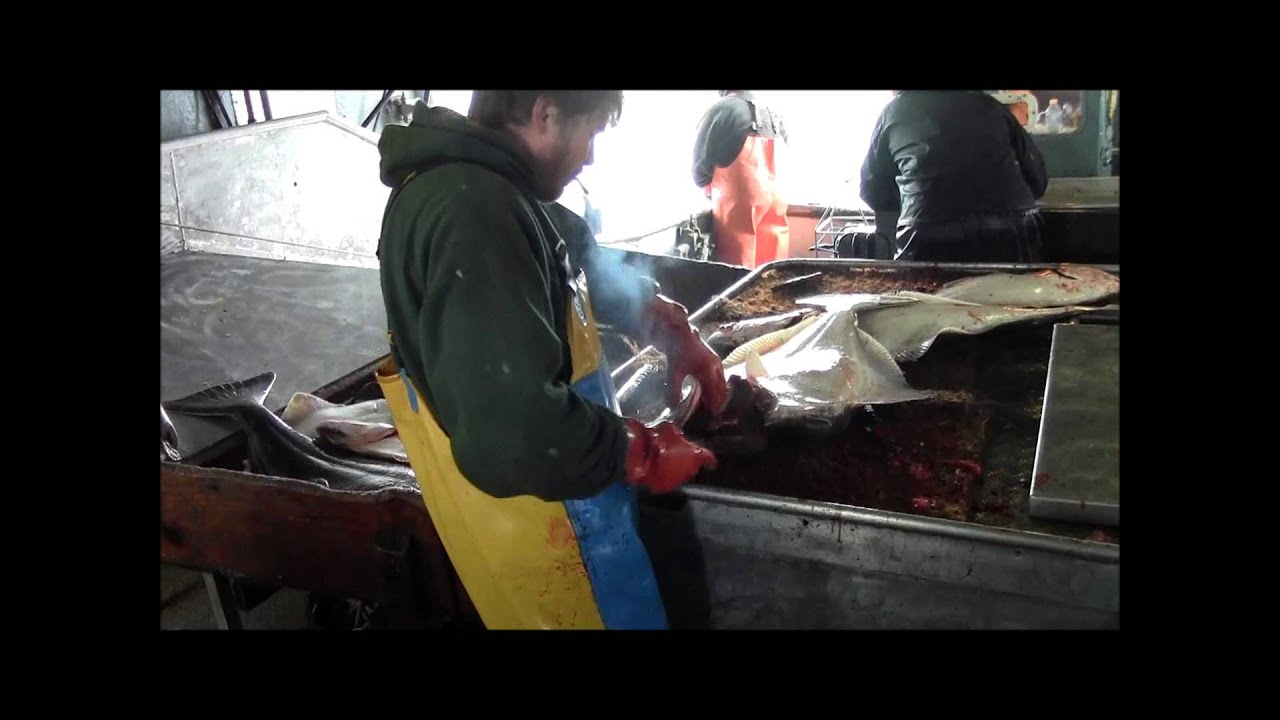 Individual Quotas in Commercial FishingResearch at UAF YouTube