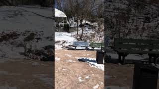 IMG 0403