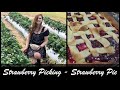 Strawberry Picking - Strawberry Pie | Vlog | Vinda FlyFox