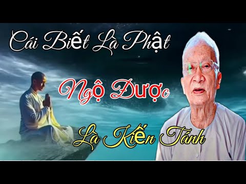 Video Ông Năm Cho Biết