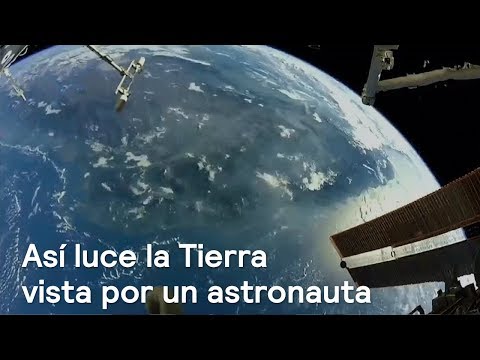 Vídeo: Se Encontró Un Organismo Extraño En La Estratosfera De La Tierra - Vista Alternativa