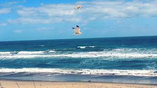 Loze - ATLANTIC DISCO (Extended Edit)