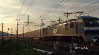 東海道本線　大垣　－　醒ヶ井　2012/12撮影　EF210