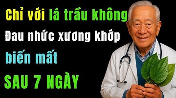 3 Cách Dùng Lá Trầu Không Giảm Đau Xương Khớp Tại Nhà Cực Kì Hiệu Quả Chỉ Sau 7 Ngày