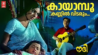 Download Lagu Kayamboo Kannil Vidarum | Nadhi | K.J Yesudas | Vayalar ramavarma | G Devarajan | Movie Song MP3