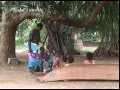 Baha I Communities Vanuatu 218 Activities دیانت بهائی در وانوآتو جزایر پاسفیک 